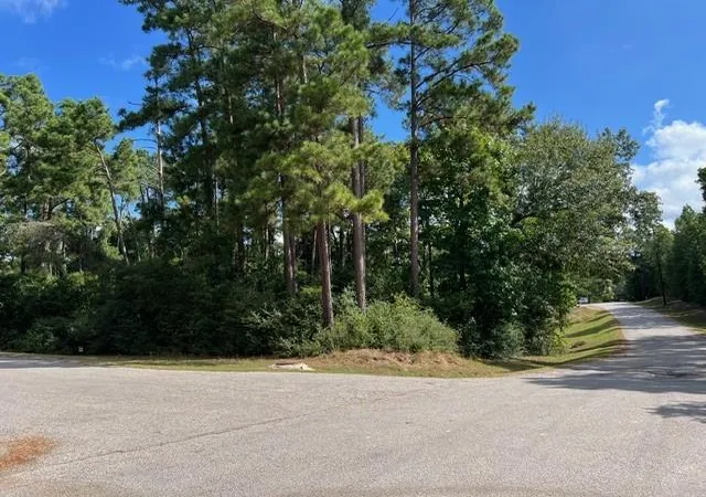 Photo 2 of Land for sale at 116 Water Oak, Livingston, TX 77351 | MLS# 53446140 | Listing updated on 2026-04-20