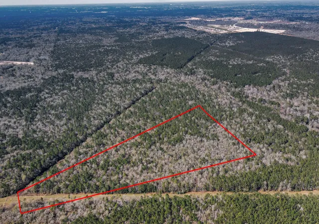 Photo 4 of Land for sale at 0 County Rd 6242, Dayton, TX 77535 | MLS# 71576271 | Listing updated on 2026-01-23