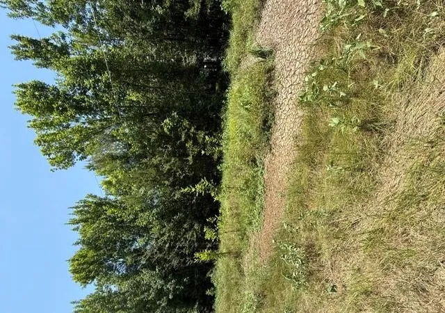 Photo 6 of Land for sale at Tbd Sunshine Acres, Midway, TX 75852 | MLS# 96114158 | Listing updated on 2026-08-06