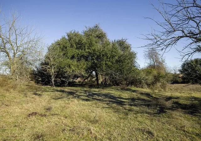 Photo 3 of Land for sale at Tbd Mockingbird Rd, Brenham, TX 77833 | MLS# 30625955 | Listing updated on 2026-02-13