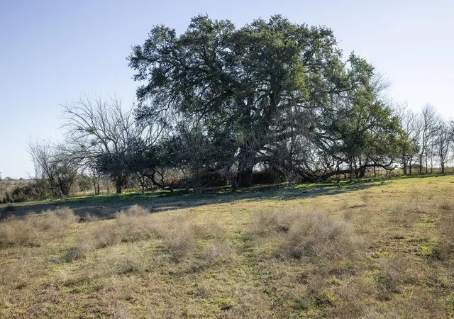 Photo 4 of Land for sale at Tbd Mockingbird Rd, Brenham, TX 77833 | MLS# 30625955 | Listing updated on 2026-02-13