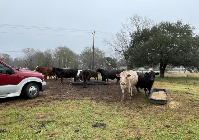 Photo 1 of Land for sale at Tbd Tx 321, Dayton, TX 77535 | MLS# 78658551 | Listing updated on 2026-06-07
