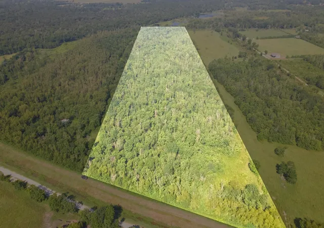 1st image of 0 South Of County Road 6042, Dayton, TX 77535 | MLS# 92666956