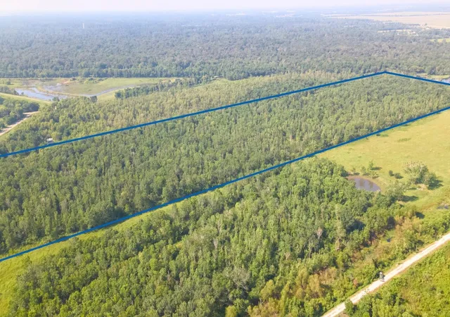 2nd image of 0 South Of County Road 6042, Dayton, TX 77535 | MLS# 92666956