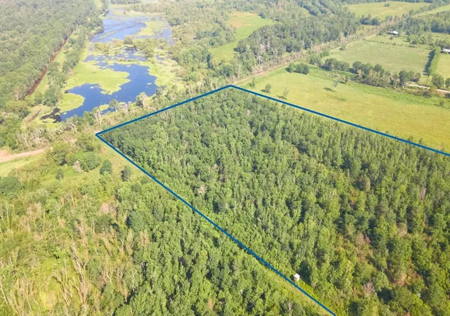 Photo 2 of Land for sale at 0 S Of County Rd 6042, Dayton, TX 77535 | MLS# 92666956 | Listing updated on 2026-08-25
