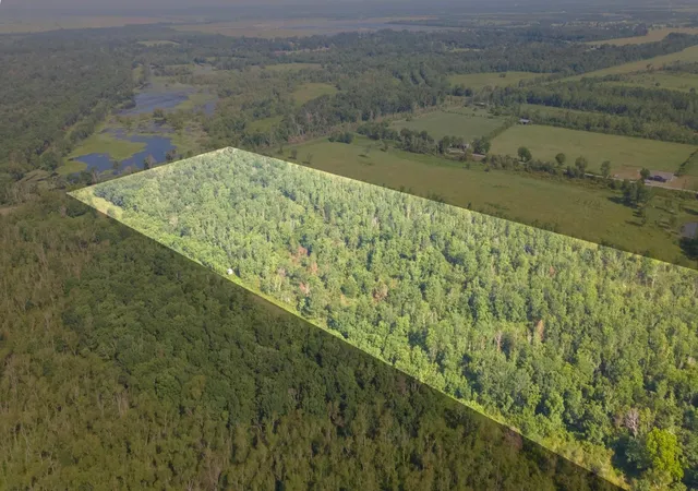 Photo 3 of Land for sale at 0 S Of County Rd 6042, Dayton, TX 77535 | MLS# 92666956 | Listing updated on 2026-08-25