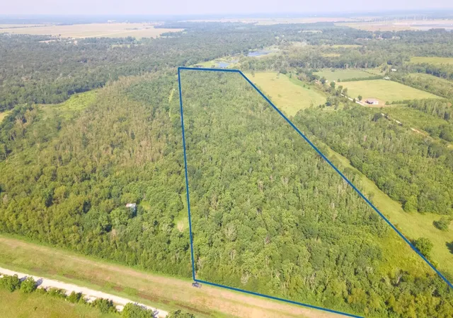 Photo 4 of Land for sale at 0 S Of County Rd 6042, Dayton, TX 77535 | MLS# 92666956 | Listing updated on 2026-08-25