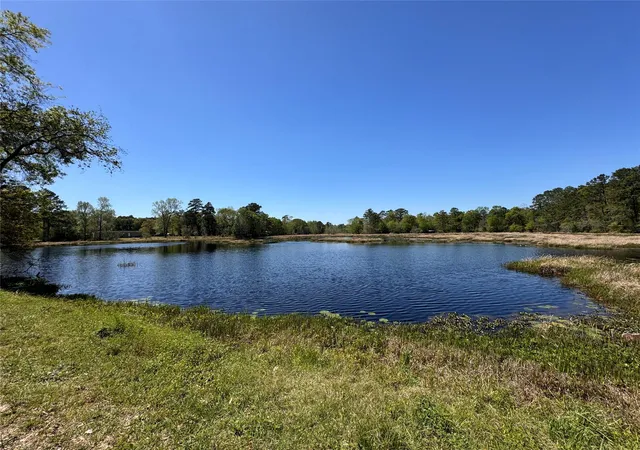 1st image of Tbd River Jordan Dr, Shepherd, TX 77371 | MLS# 32593252