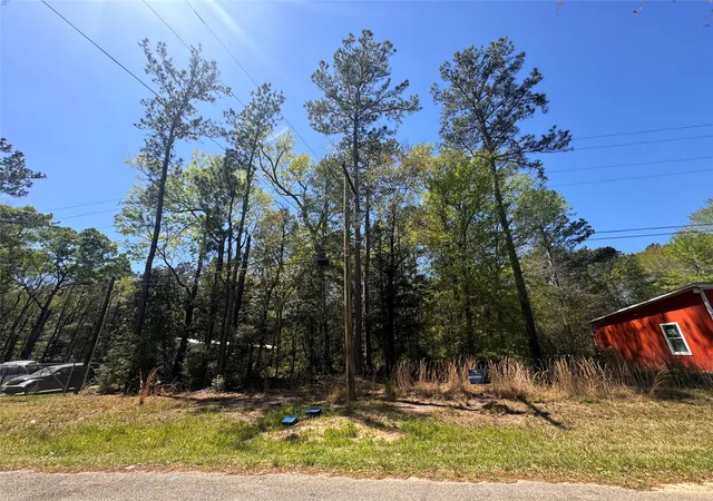 2nd image of Tbd River Jordan Dr, Shepherd, TX 77371 | MLS# 32593252