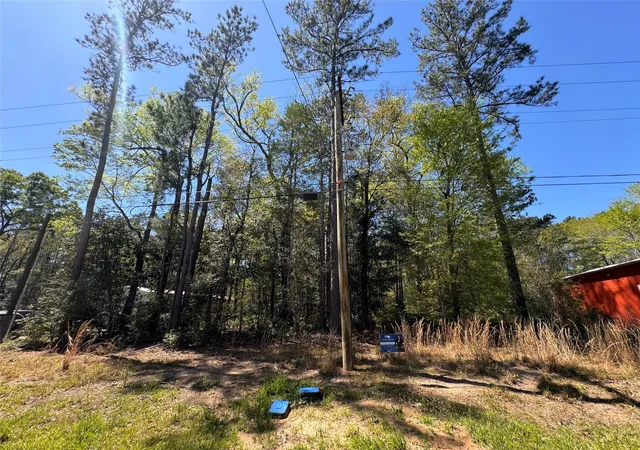 6th image of Tbd River Jordan Dr, Shepherd, TX 77371 | MLS# 32593252