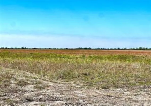 Homes for sale in Eagle Lake, TX | 1297 Mcdonald Rd, Eagle Lake, TX 77434 | MLS# 15568529