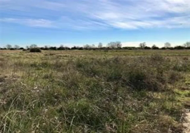 Homes for sale in Eagle Lake, TX | 1297 Mcdonald Rd, Eagle Lake, TX 77434 | MLS# 15568529