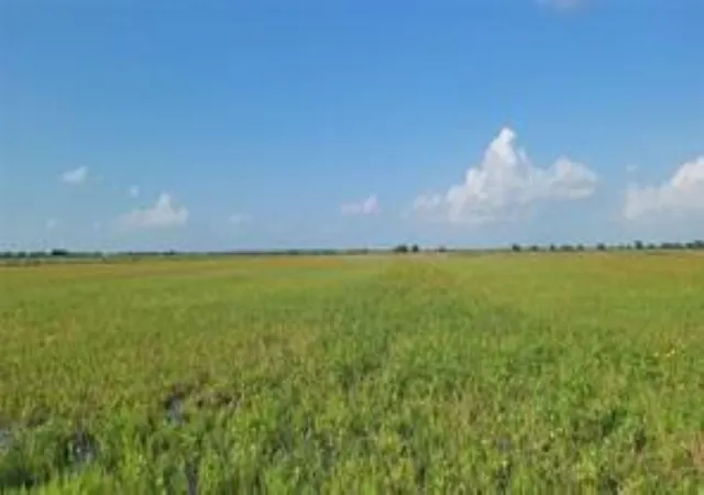 Homes for sale in Eagle Lake, TX | 1297 Mcdonald Rd, Eagle Lake, TX 77434 | MLS# 15568529