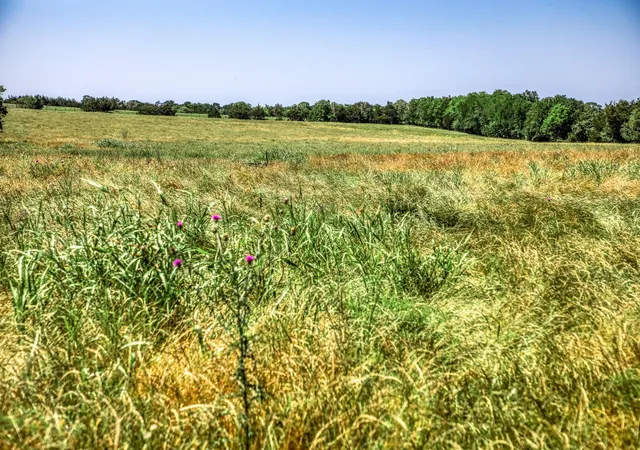 2nd image of 8101 W Parkison Lane Lane W, Brenham, TX 77833 | MLS# 33298830