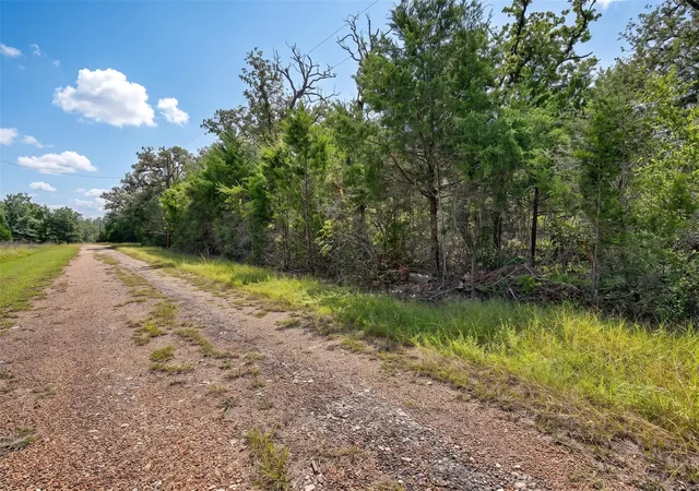 Photo 4 of Land for sale at Tbd E Lois Ln, Somerville, TX 77879 | MLS# 47315666 | Listing updated on 2026-07-18