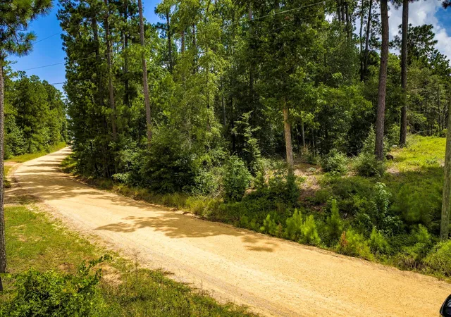 Photo 2 of Land for sale at Tbd Cm Hardy, Livingston, TX 77351 | MLS# 97723016 | Listing updated on 2026-07-16