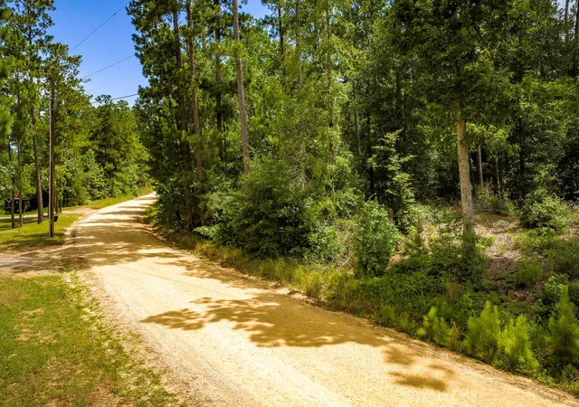 Photo 3 of Land for sale at Tbd Cm Hardy, Livingston, TX 77351 | MLS# 97723016 | Listing updated on 2026-07-16