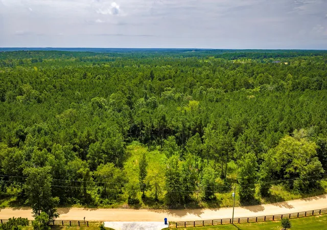 Photo 3 of Land for sale at Tbd Cm Hardy, Livingston, TX 77351 | MLS# 97723016 | Listing updated on 2026-07-16