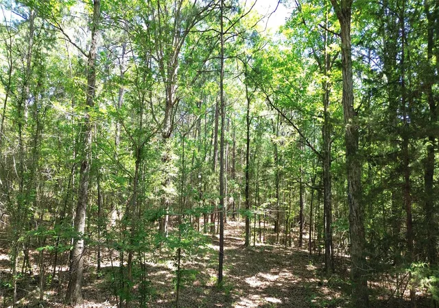 1st image of Tbd Cr 4720, Kennard, TX 75847 | MLS# 45583674