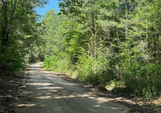 2nd image of Tbd Cr 4720, Kennard, TX 75847 | MLS# 45583674