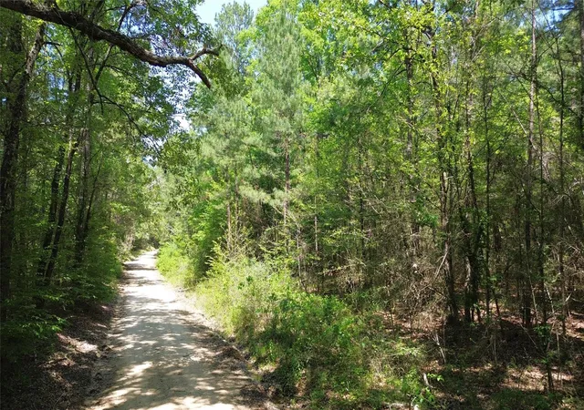 image of Tbd Cr 4720, Kennard, TX 75847 | MLS# 45583674