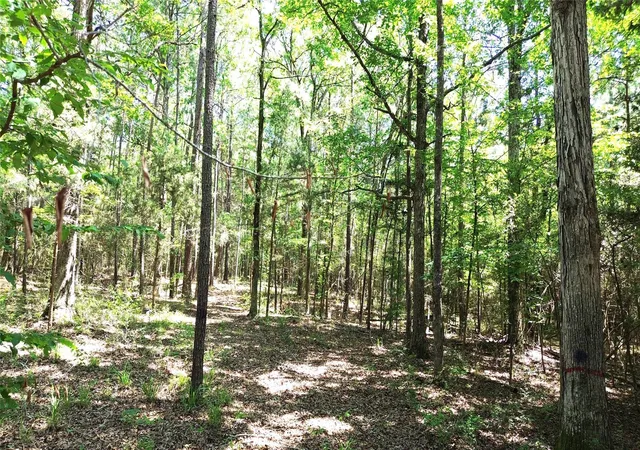 image of Tbd Cr 4720, Kennard, TX 75847 | MLS# 45583674
