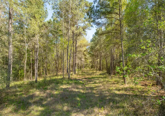 Photo 1 of Land for sale at 000 Bighorn Rd, Huntsville, TX 77340 | MLS# 24114637 | Listing updated on 2026-08-04
