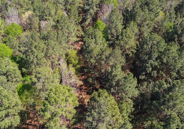 Photo 34 of Land for sale at 000 Bighorn Rd, Huntsville, TX 77340 | MLS# 24114637 | Listing updated on 2026-08-04
