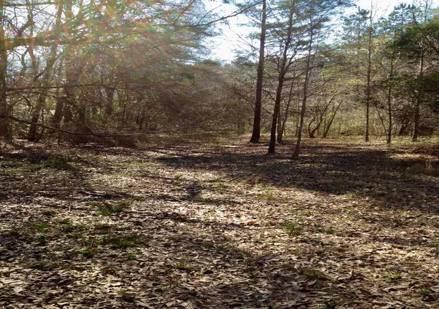 Photo 2 of Land for sale at Lot 175 County Rd 3017c, Dayton, TX 77535 | MLS# 45484017 | Listing updated on 2026-09-16