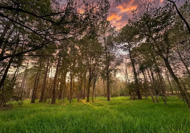 Photo 4 of Land for sale at Lot 175 County Rd 3017c, Dayton, TX 77535 | MLS# 45484017 | Listing updated on 2026-09-16