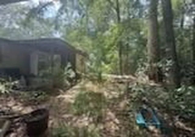 9th image of 24558 Green Forest Dr, Splendora, TX 77372 | MLS# 8826849
