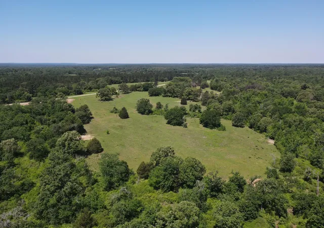 Homes for sale in Buffalo, TX | Tbd Hwy 75 South, Buffalo, TX 75831 | MLS# 7712362