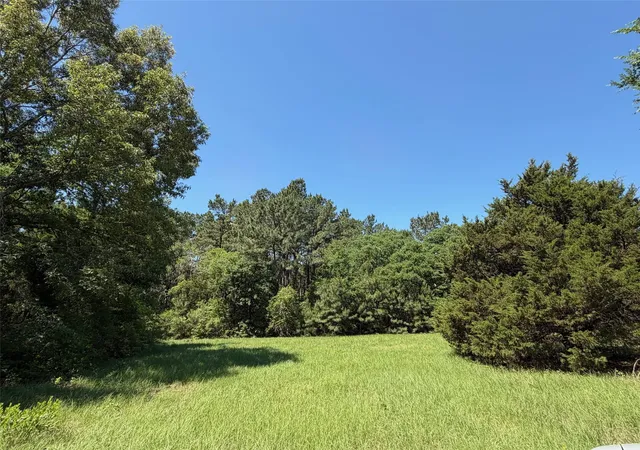 Homes for sale in Buffalo, TX | Tbd Hwy 75 South, Buffalo, TX 75831 | MLS# 7712362