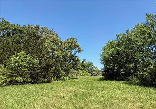 Homes for sale in Buffalo, TX | Tbd Hwy 75 South, Buffalo, TX 75831 | MLS# 7712362