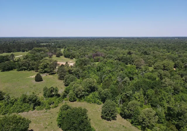 Homes for sale in Buffalo, TX | Tbd Hwy 75 South, Buffalo, TX 75831 | MLS# 7712362