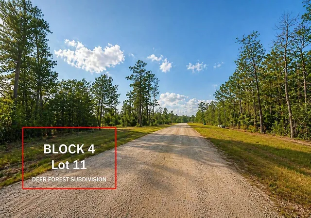 Homes for sale in Willis, TX | 305 Iron Horse Rd, Willis, TX 77378 | MLS# 14479921