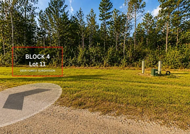 Homes for sale in Willis, TX | 305 Iron Horse Rd, Willis, TX 77378 | MLS# 14479921