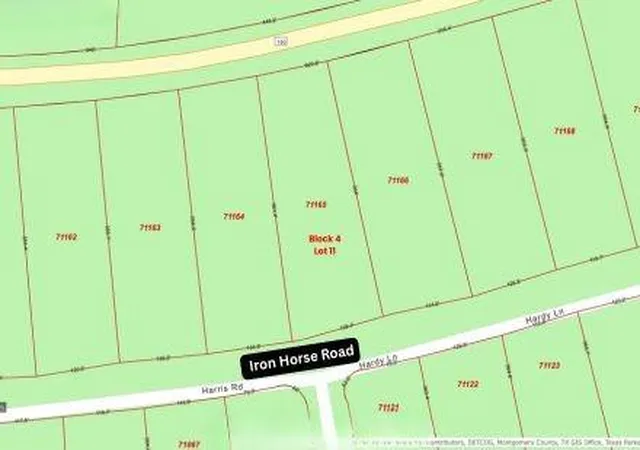 Homes for sale in Willis, TX | 305 Iron Horse Rd, Willis, TX 77378 | MLS# 14479921