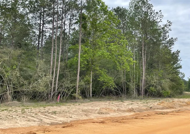Photo 3 of Land for sale at 11631 Grand N Rd, Willis, TX 77378 | MLS# 5292904 | Listing updated on 2026-10-03