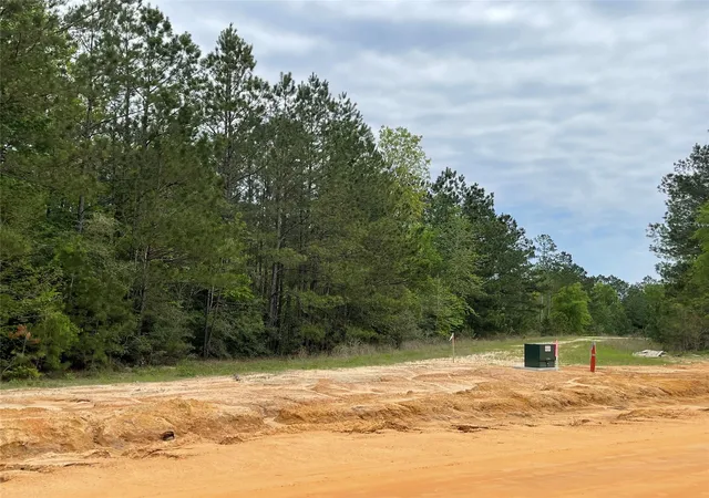 Photo 3 of Land for sale at 11631 Grand N Rd, Willis, TX 77378 | MLS# 5292904 | Listing updated on 2026-10-03