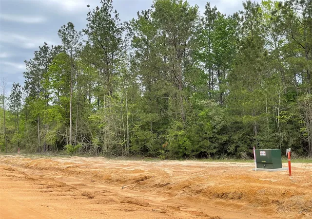 Photo 4 of Land for sale at 11631 Grand N Rd, Willis, TX 77378 | MLS# 5292904 | Listing updated on 2026-10-03