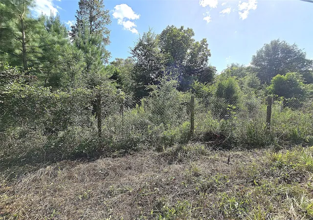 Photo 4 of Land for sale at Tbd Margie Dr, Livingston, TX 77351 | MLS# 41053356 | Listing updated on 2026-07-01