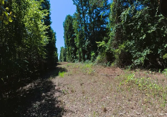 Photo 3 of Sale Pending at Tbd 40 Cr 4244, Pittsburg, TX 75686 | MLS# 64837238 | Listing updated on 2026-08-31