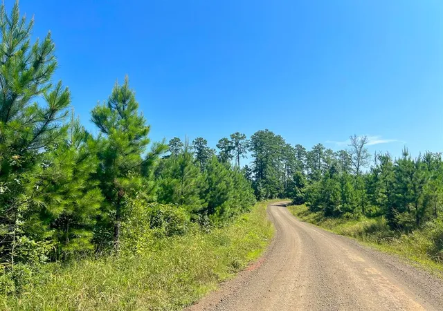 Photo 3 of Land for sale at 0 Carters Ferry Road, Milam, TX 75959 | MLS# 89797872 | Listing updated on 2026-03-09
