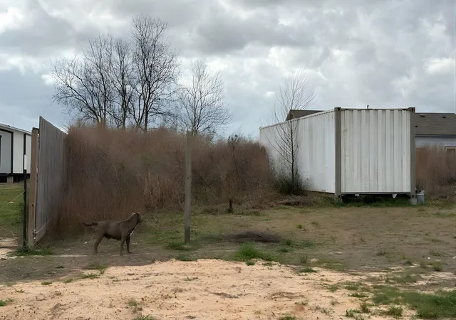 Photo 4 of Land for sale at 1209 Road 5802, New Caney, TX 77357 | MLS# 53137435 | Listing updated on 2026-08-26