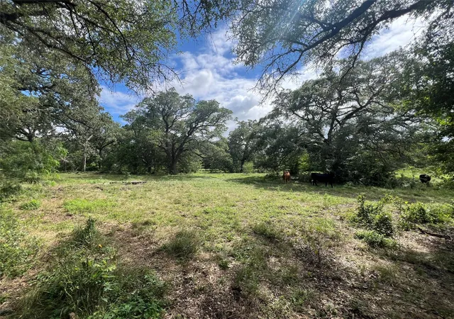 Homes for sale in Schulenburg, TX | 3500 Fm 1579, Schulenburg, TX 78956 | MLS# 74144069