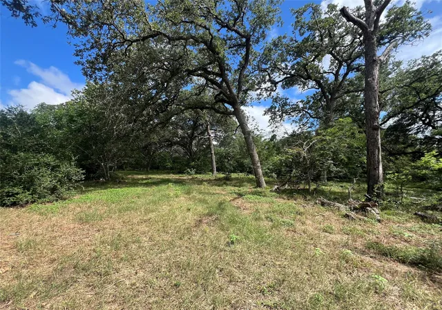 Homes for sale in Schulenburg, TX | 3500 Fm 1579, Schulenburg, TX 78956 | MLS# 74144069