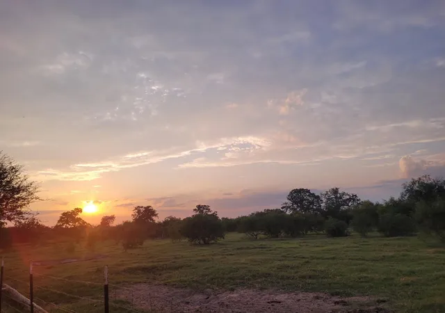 Photo 40 of Land for sale at 796 Shelly Rd, Refugio, TX 78377 | MLS# 7807000 | Listing updated on 2026-09-08