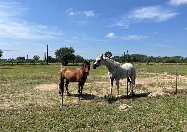 Photo 3 of Land for sale at 796 Shelly Rd, Refugio, TX 78377 | MLS# 7807000 | Listing updated on 2026-09-08