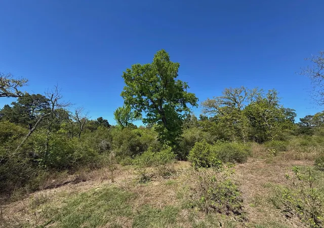 Homes for sale in Buffalo, TX | 10 Ac Cr 2926, Buffalo, TX 75831 | MLS# 13290287